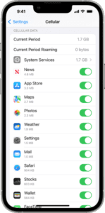 An iPhone screen showing cellular data settings  