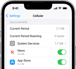 An iPhone screen showing cellular data settings  