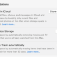 The Recommendations section in Storage settings, with options including Store in iCloud, Empty Trash automatically, and Optimize Storage.  