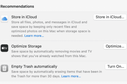 The Recommendations section in Storage settings, with options including Store in iCloud, Empty Trash automatically, and Optimize Storage.  