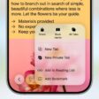 iOS 26 Safari