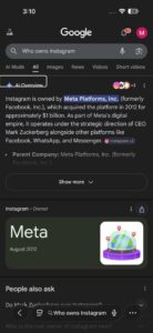 AI overview in Google Search results