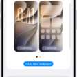 The Wallpaper Settings screen, with buttons for customizing the current wallpaper on the Home Screen and Lock Screen, and the Add New Wallpaper button for changing the wallpaper.