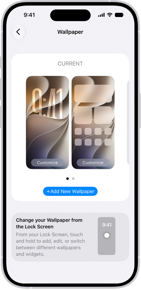 The Wallpaper Settings screen, with buttons for customizing the current wallpaper on the Home Screen and Lock Screen, and the Add New Wallpaper button for changing the wallpaper.