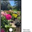 Camera is open in Photo mode. The Camera Controls button is in the top-right corner. The Photo and Video Viewer button is in the bottom-left corner. The Take Picture button is at the bottom center, and the Camera Chooser Back-Facing button is in the bottom-right corner.