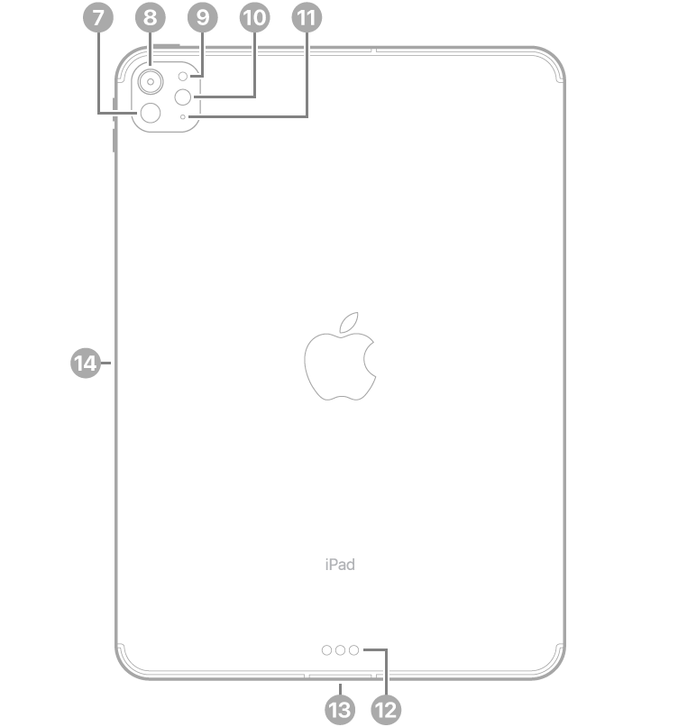 The back view of iPad Pro with callouts to LiDAR, the rear camera, rear ambient light sensor, flash, and microphone at the top left, the Smart Connector and USB-C connector at the bottom center, and the magnetic connector for Apple Pencil on the left.