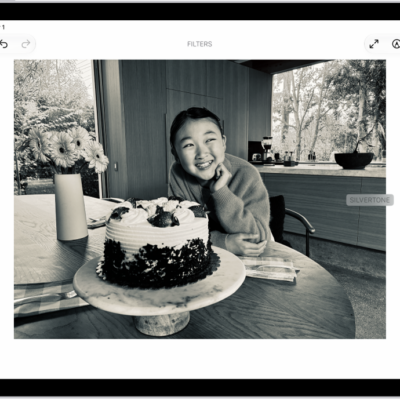 The Edit screen in the Photos app with a photo in the center. On the left side of the screen are the Adjust, Filters, and Crop buttons; Filters is selected. On the right side of the screen are the filter options and a slider to adjust the level of the filter effect.