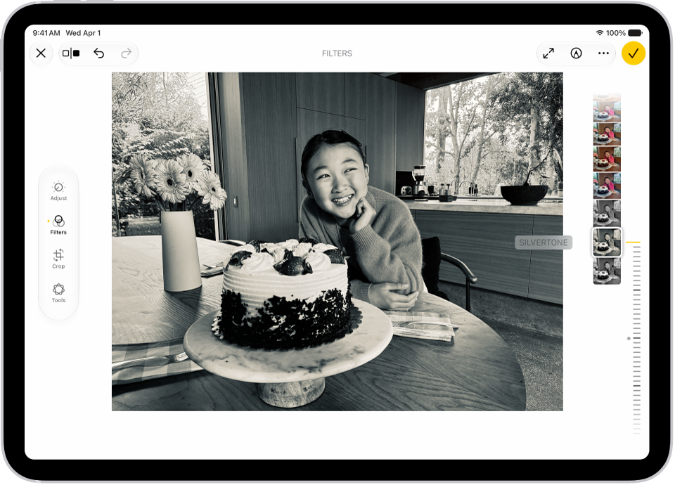 The Edit screen in the Photos app with a photo in the center. On the left side of the screen are the Adjust, Filters, and Crop buttons; Filters is selected. On the right side of the screen are the filter options and a slider to adjust the level of the filter effect.