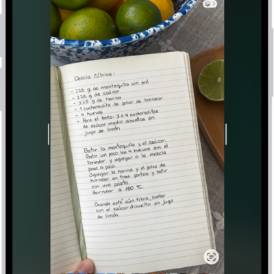 The screenshot screen, with buttons along the top (from left to right) for Close Window, Markup, Share, and Done. Along the bottom (from left to right) are buttons for Ask, Translate, and Search.