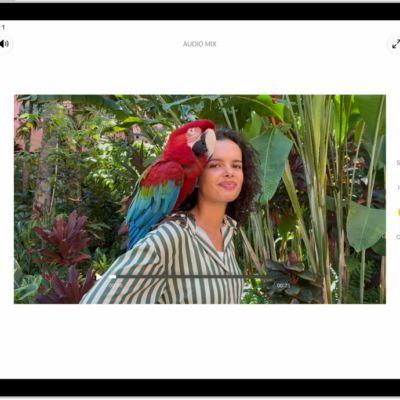 A video is open in the Photos app. On the left side of the screen are editing buttons for Video, Audio Mix, Adjust, Filters, and Crop. Audio Mix is selected. On the right side of the screen are buttons to adjust the sound options which are Standard, In-Frame, Studio, and Cinematic. Studio is selected.