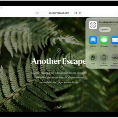 An open webpage. The Share button has been tapped, showing options for AirDrop, Messages, Mail, Notes, Copy, Add to Bookmarks, Add to Reading List, and More.
