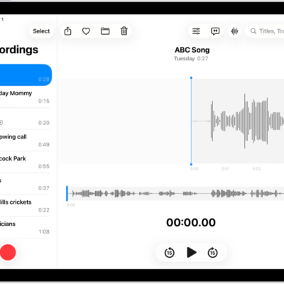 A Voice Memo recording, showing a waveform of the recording that's in progress, along with a time indicator, a button to pause the recording, and a button to view the transcription.