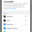 The Accessibility screen in Settings showing the built-in features for Vision support.