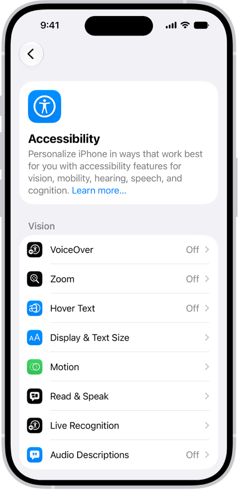 The Accessibility screen in Settings showing the built-in features for Vision support.