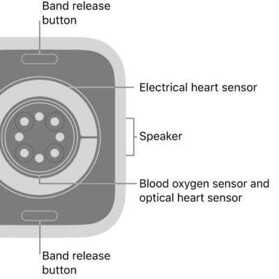 The back of Apple Watch Series 11, with the band release buttons at top and bottom, the electrical heart sensors, optical heart sensors, and blood oxygen sensors in the middle, and the speaker on the side.