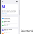 An image of Screen Time in Settings with options to set up Screen Time Schedules, Time Allowances, and more.