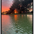 The Camera screen in Photo mode. Within the viewfinder is a night scene. Buttons for Night and Camera Controls mode appear in the top-right corner of the screen. At the bottom of the screen are, from left to right, the Photo and Video Viewer button, Video and Photo Mode, and the Camera Chooser Back-Facing button.