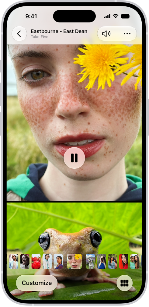 A memory is playing in the middle of the screen. At the bottom of the screen are the Memory Mixes and Browse buttons. At the top of the screen are the Back, Mute, and More buttons. At the top center of the screen are the location of the photo and the name of the song playing.