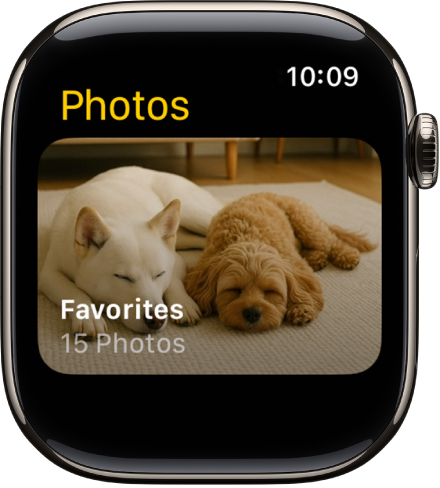 The Photos app on Apple Watch showing an album called Favorites.