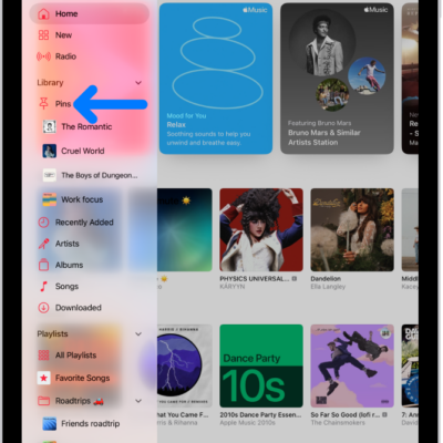 The sidebar on the left with an arrow pointing out pinned items, such as an album and a playlist, with albums appearing on the right. The MiniPlayer is at the bottom.