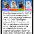 An Image Explorer screen giving a description of a cat adoption flyer.