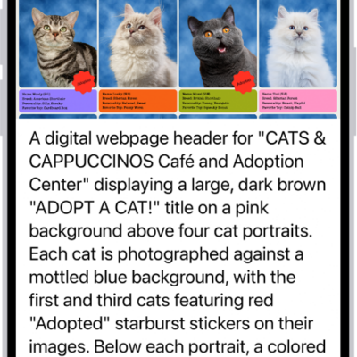 An Image Explorer screen giving a description of a cat adoption flyer.
