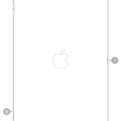 The back view of iPad with callouts to the rear camera at the top left, the headphone jack at the top right, the Smart Connector on the right, the Lightning connector at the bottom center, and the SIM tray (Wi-Fi + Cellular) at the bottom left.