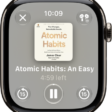 The Play screen for an audiobook. The Close button is at the top left, the More button at the top right, the skip back 15 seconds button at the bottom left, the Play/Pause button at the bottom middle, and the skip ahead 15 seconds button at the bottom right. In the middle is the book art, chapter number, and remaining time in the chapter.