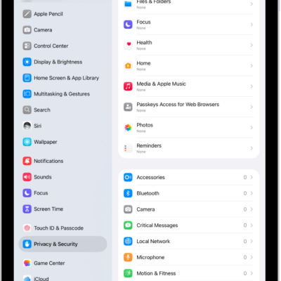 The Privacy & Security screen, with settings to control whether apps can use the camera, microphone, and other parts of your iPad.