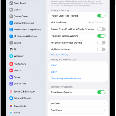 The Not Secure Connection Warning control, located below Privacy & Security on the Safari screen in Settings.