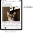 The onscreen keyboard is open in the Notes app. The Dictation button at the bottom of the keyboard is selected and the Dictation button appears below the insertion point in the text field.