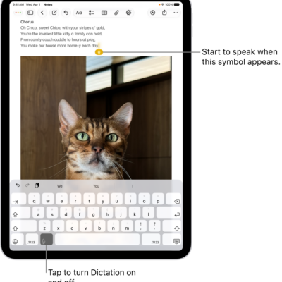 The onscreen keyboard is open in the Notes app. The Dictation button at the bottom of the keyboard is selected and the Dictation button appears below the insertion point in the text field.