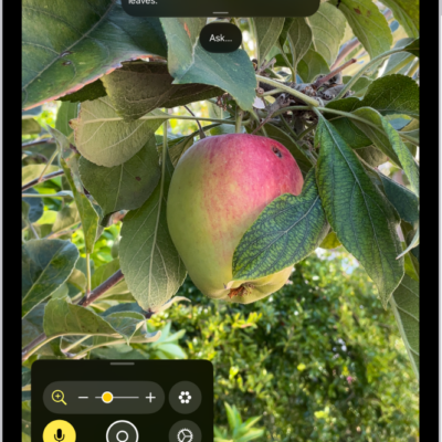 The Magnifier app showing a close-up of an unripe apple.