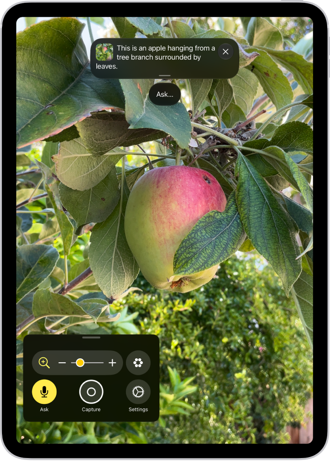 The Magnifier app showing a close-up of an unripe apple.
