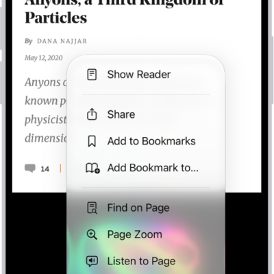 In Safari, the Page Menu button on a website has been tapped, revealing options including Hide Distracting Items.
