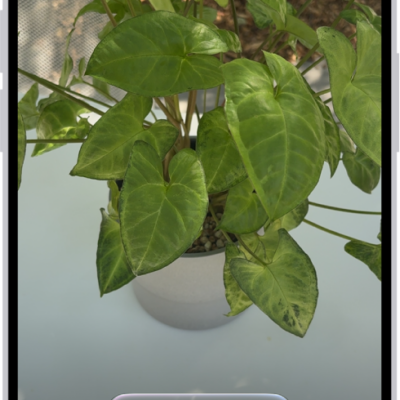 An iPhone in Visual Intelligence showing a plant.