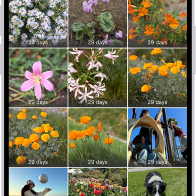 The Recently Deleted folder in the Photos app. Recently deleted photos appear in a grid on the screen.