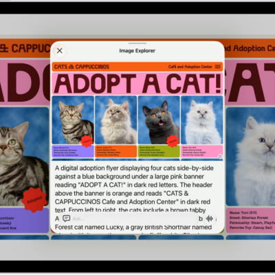 An Image Explorer screen giving a description of a cat adoption flyer.