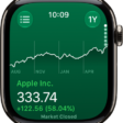 Information about a stock in the Stocks app. A large graph showing the stock's price over a year appears in the center.