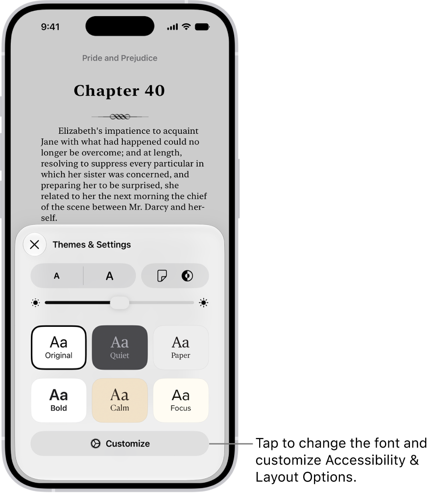 A page of a book in the Books app. The Themes & Settings options show controls for font size, scrolling view, page turn style, brightness, and font styles.