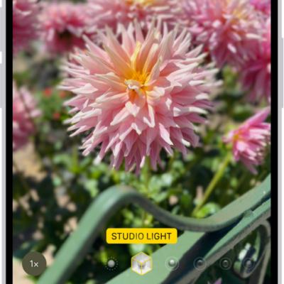 The Camera screen in Portrait mode; in the viewfinder, the subject is sharp and the background is blurred. The dial to select Portrait Lighting is open in the bottom of the frame and Studio Light is selected.