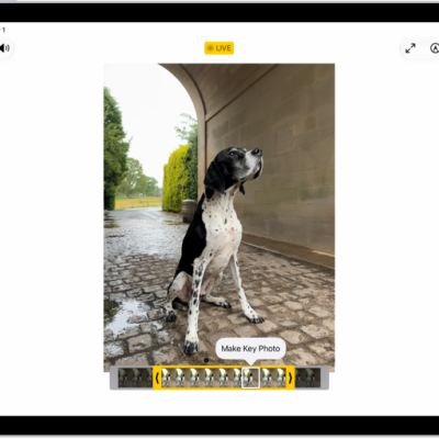 A Live Photo is in the center of the Edit screen in the Photos app. The frame viewer is across the bottom of the video and a yellow outline is around the selected frames to include in the edited Live Photo; a single frame is selected to make key photo. The editing tools are on the left side of the screen: from the top to bottom, Live Photo, Adjust, Filters, and Crop. Live Photo is selected.