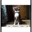 The Photos app is open to a photo of a dog. The dog is selected, and the option Add Sticker is available in the menu above.