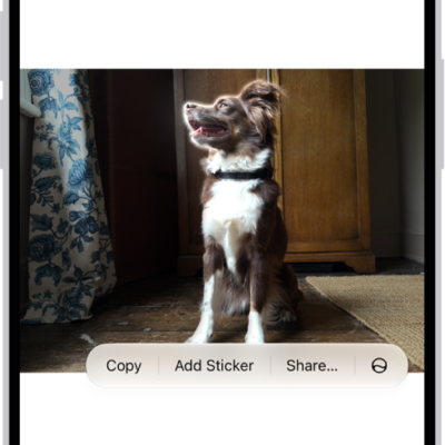 The Photos app is open to a photo of a dog. The dog is selected, and the option Add Sticker is available in the menu above.
