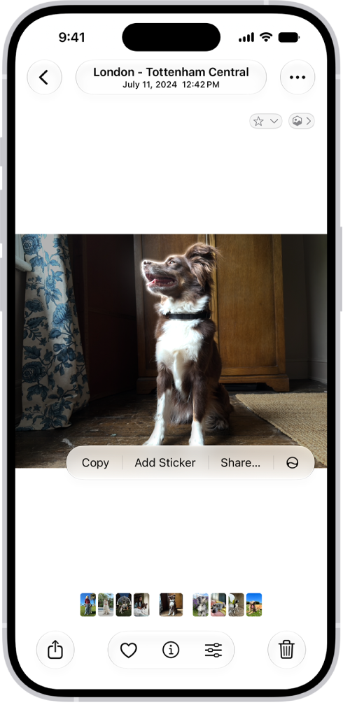 The Photos app is open to a photo of a dog. The dog is selected, and the option Add Sticker is available in the menu above.