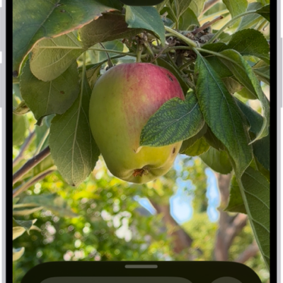 The Magnifier app showing a close-up of an unripe apple.