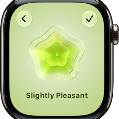 The Mindfulness app screen showing the State of Mind screen with a visual in the center. An emotion is listed below.
