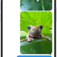 A Messages conversation with an audio message.