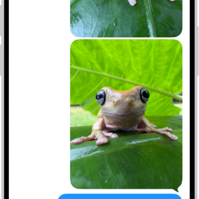 A Messages conversation with an audio message.