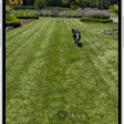 The camera frame fills the screen. At the bottom of the screen, the Shutter button moves to the right, demonstrating the movement of recording hands-free.
